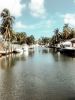 Coconut Grove